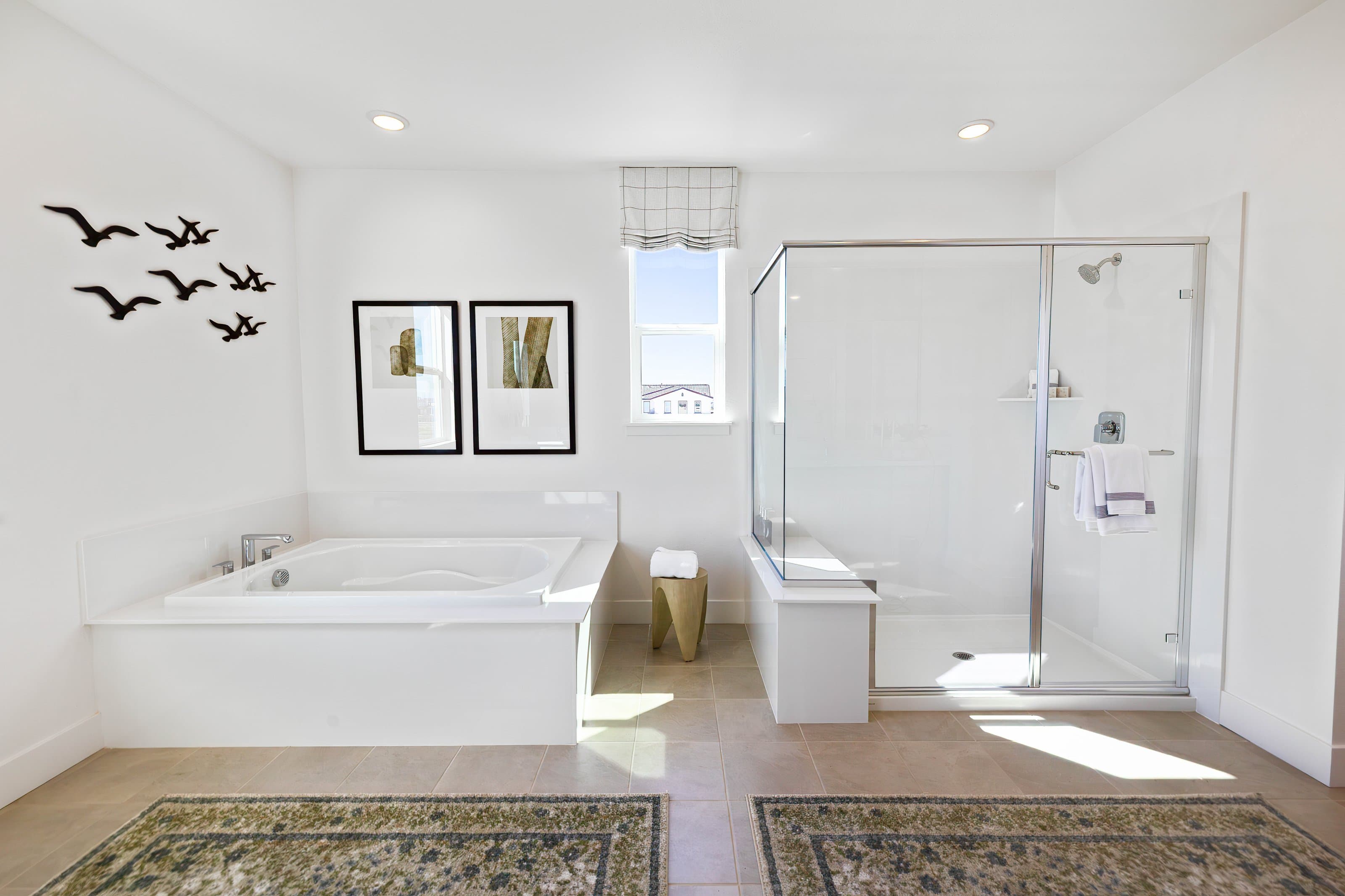 Custom hinged frameless shower replacing a sliding tub-shower door in a Lake Dallas home off Swisher Road